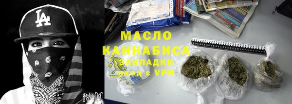 амф Верхний Тагил