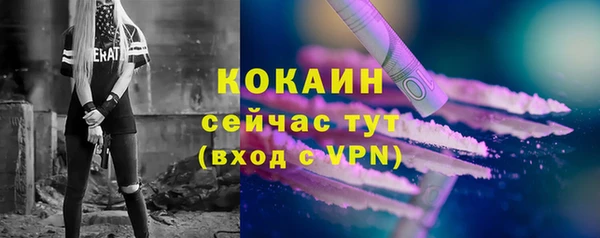 амф Верхний Тагил