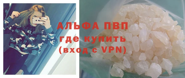 амф Верхний Тагил