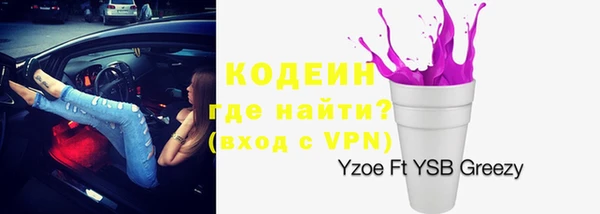 амф Верхний Тагил