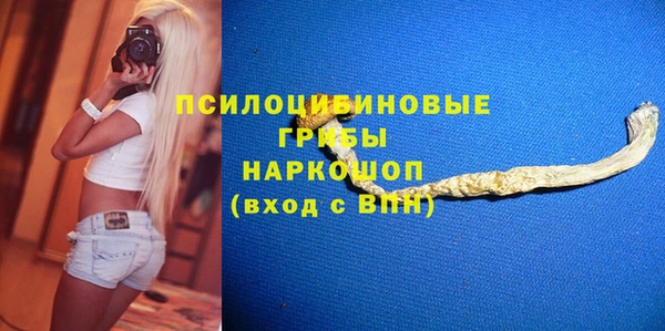 амф Верхний Тагил