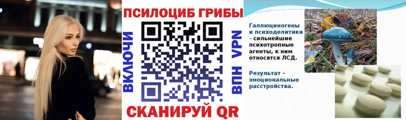 хочу наркоту  Якутск  Галлюциногенные грибы Psilocybine cubensis 